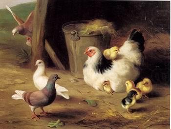 unknow artist Cocks 133 china oil painting image